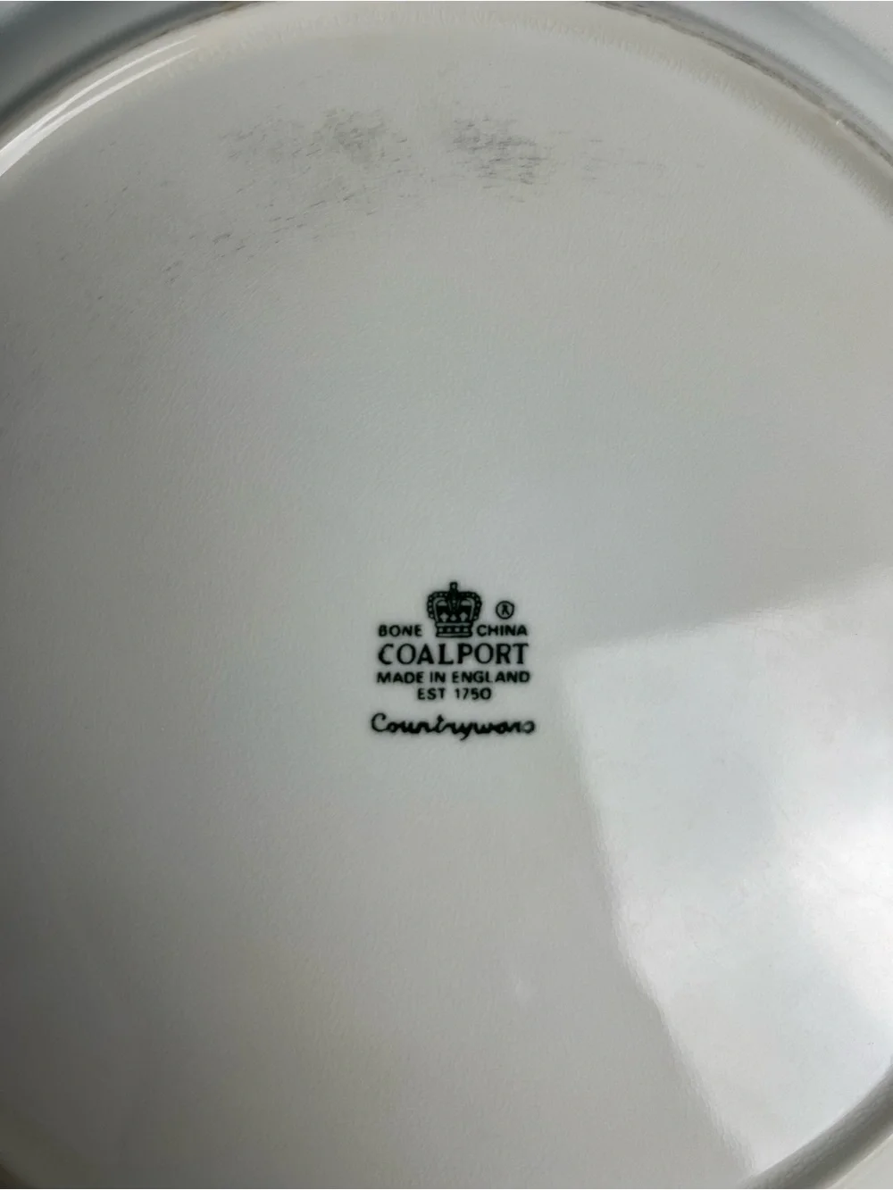 Wedgewood Coalport Countryware  Dinner Plates - Set of 2